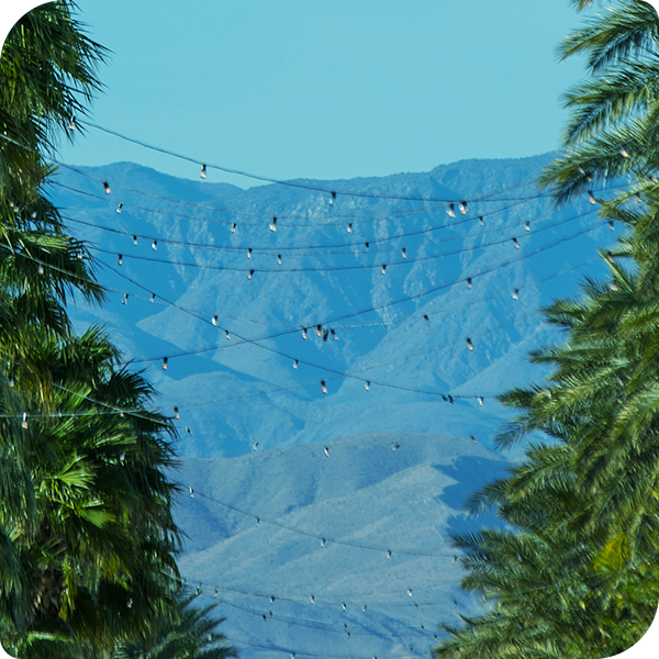 Coachella Valley Music And Arts Festival