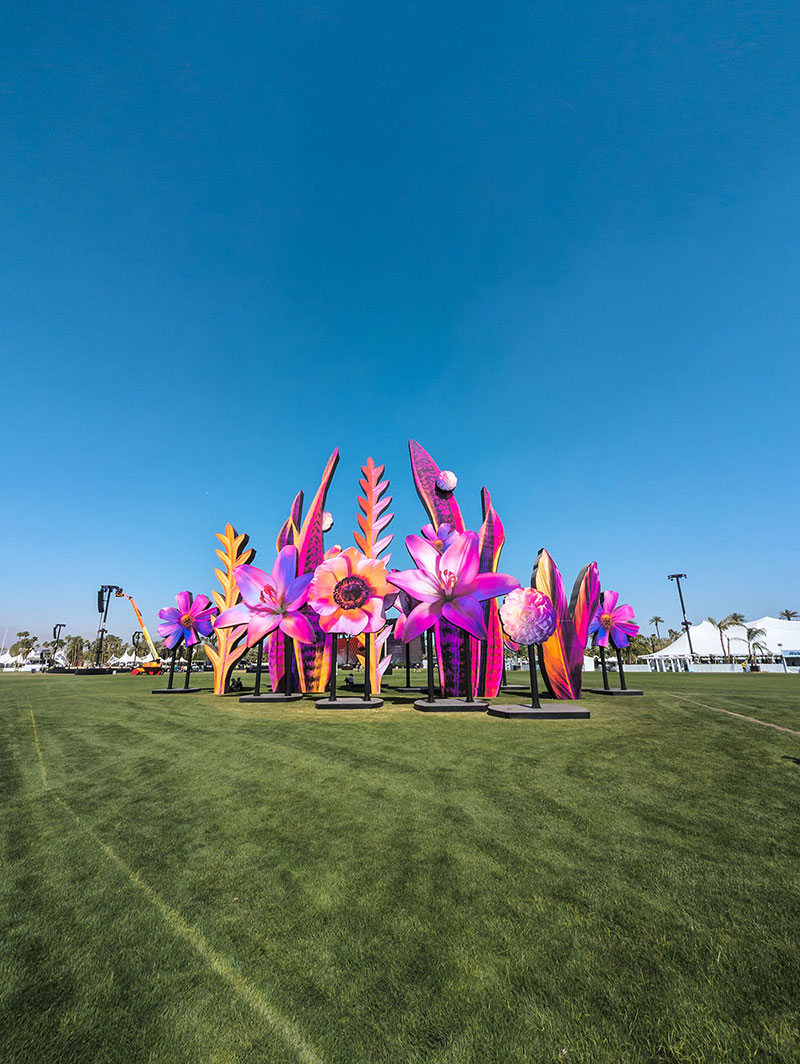Coachella photo