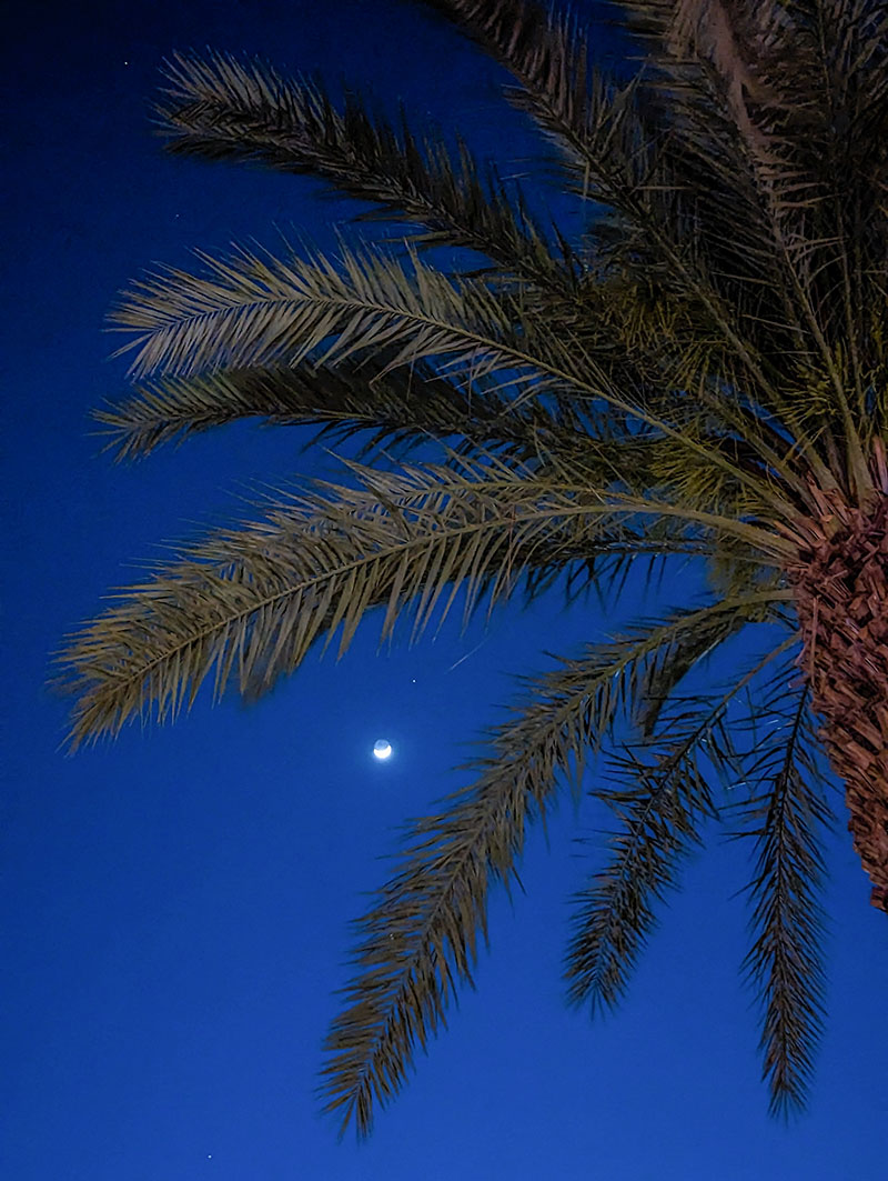 Coachella photo taken on a Google Pixel